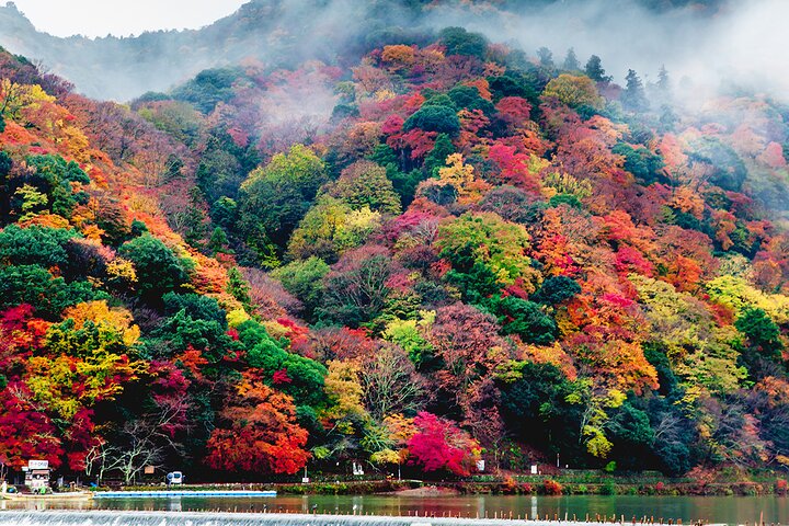 Arashiyama wandeltocht in Kyoto met het bamboebos, de Tenryu-ji tempeltuin, de Togetsukyo-brug en het apenpark, foto 8 | wizardtrip