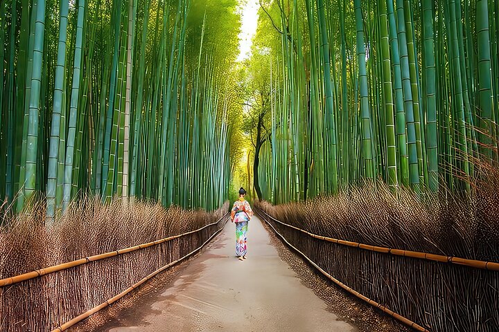 Arashiyama wandeltocht in Kyoto met het bamboebos, de Tenryu-ji tempeltuin, de Togetsukyo-brug en het apenpark, foto 15 | wizardtrip