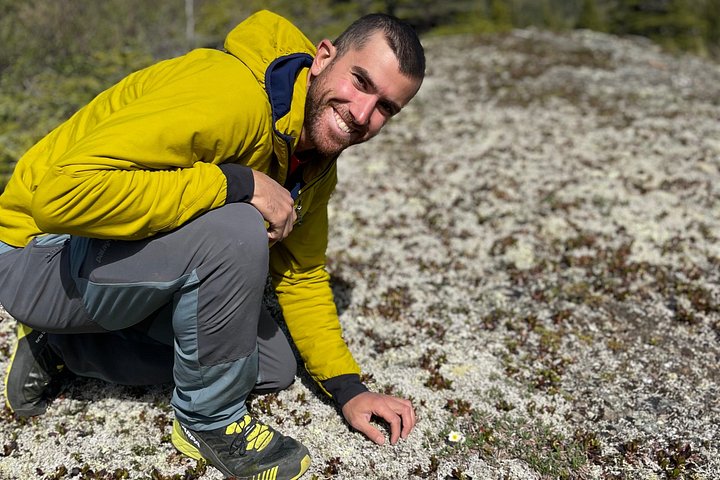 Guidet naturopplevelse i Denali nasjonalpark, Alaska, med fokus på flora, fauna og geologi, foto 8 | wizardtrip