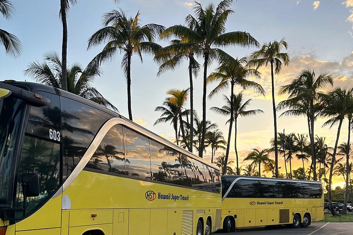 Oahu rundtur med natursköna vyer, stränder och historiska platser, foto 18 | wizardtrip