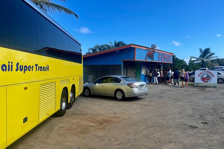 Oahu rundtur med natursköna vyer, stränder och historiska platser, foto 27 | wizardtrip