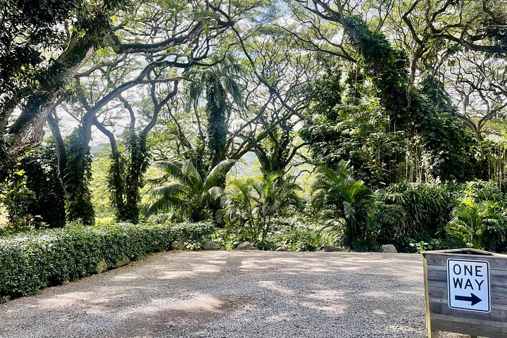 Oahu rundtur med natursköna vyer, stränder och historiska platser, foto 29 | wizardtrip