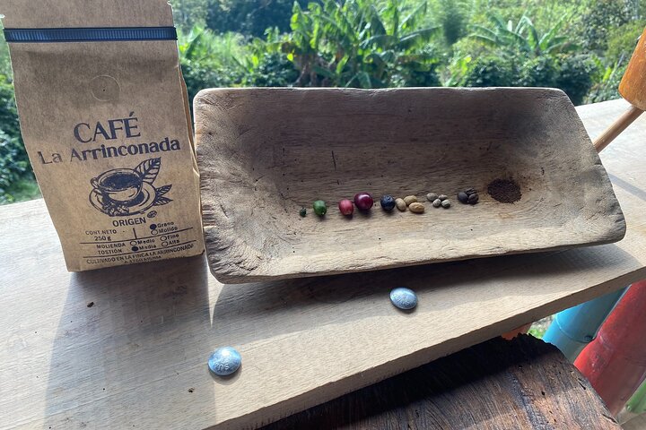 Experimenta un auténtico tour de finca de café colombiana cerca de Medellín, incluyendo cosecha, procesamiento y degustación, foto 6 | wizardtrip