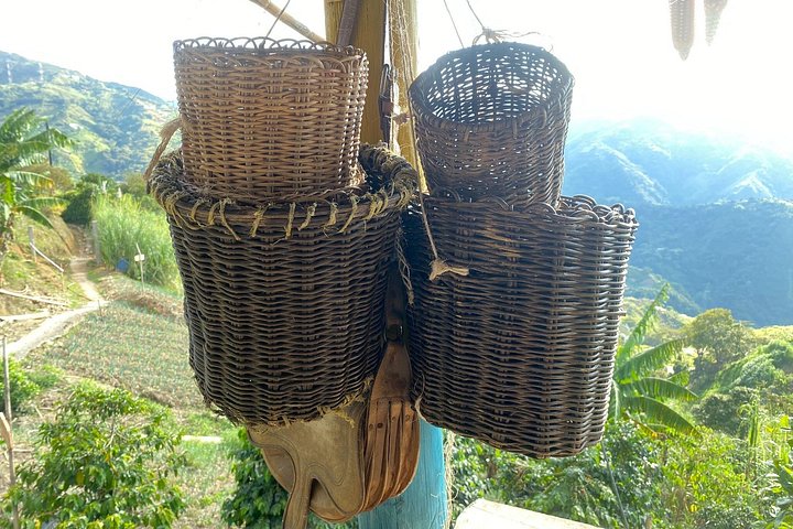 Experimenta un auténtico tour de finca de café colombiana cerca de Medellín, incluyendo cosecha, procesamiento y degustación, foto 7 | wizardtrip