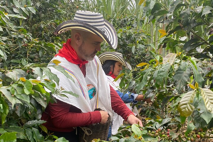 Experimenta un auténtico tour de finca de café colombiana cerca de Medellín, incluyendo cosecha, procesamiento y degustación, foto 8 | wizardtrip