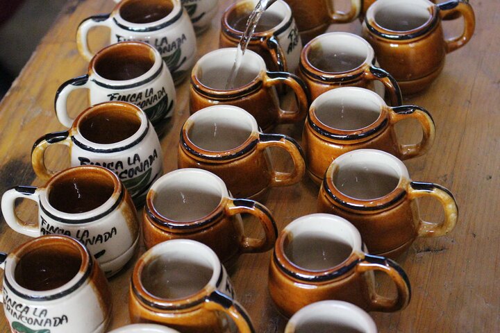 Experimenta un auténtico tour de finca de café colombiana cerca de Medellín, incluyendo cosecha, procesamiento y degustación, foto 11 | wizardtrip