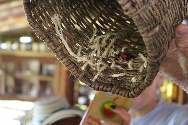 Experimenta un auténtico tour de finca de café colombiana cerca de Medellín, incluyendo cosecha, procesamiento y degustación, foto 16 | wizardtrip