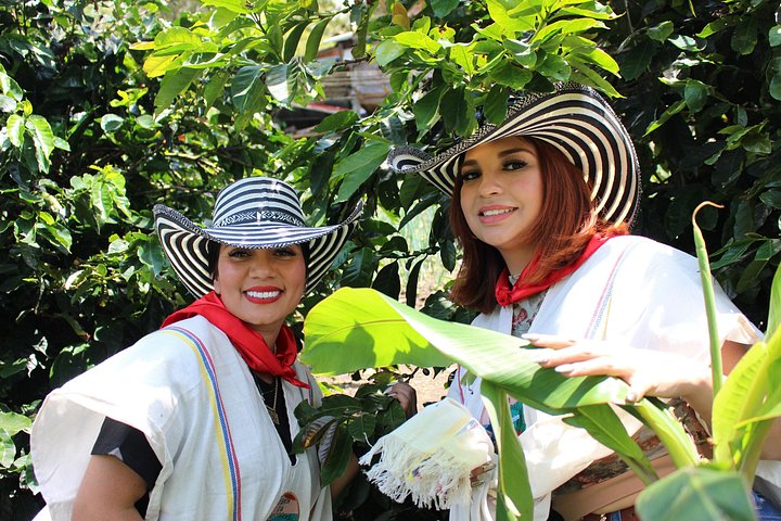 Experimenta un auténtico tour de finca de café colombiana cerca de Medellín, incluyendo cosecha, procesamiento y degustación, foto 17 | wizardtrip