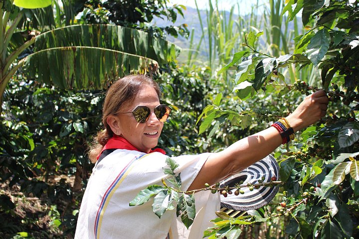 Experimenta un auténtico tour de finca de café colombiana cerca de Medellín, incluyendo cosecha, procesamiento y degustación, foto 20 | wizardtrip