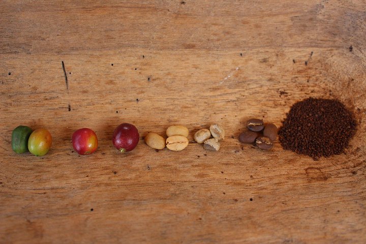 Experimenta un auténtico tour de finca de café colombiana cerca de Medellín, incluyendo cosecha, procesamiento y degustación, foto 24 | wizardtrip