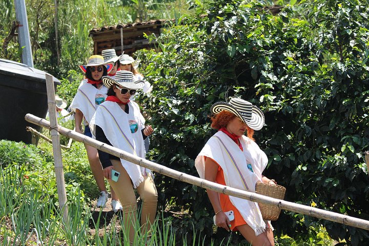 Experimenta un auténtico tour de finca de café colombiana cerca de Medellín, incluyendo cosecha, procesamiento y degustación, foto 25 | wizardtrip