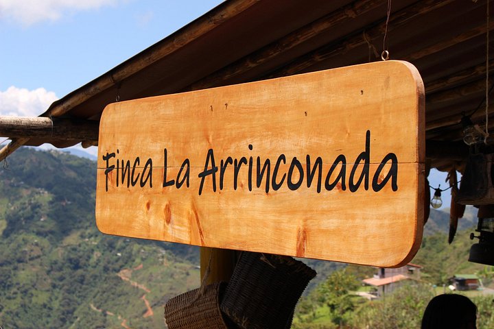 Experimenta un auténtico tour de finca de café colombiana cerca de Medellín, incluyendo cosecha, procesamiento y degustación, foto 28 | wizardtrip