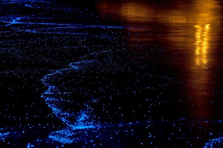 Twilight Sea Canoe Tour with Sea Cave Kayaking in Phang Nga Bay | wizardtrip