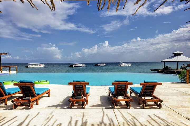 Alt-adgang eventyrparkpas i Montego Bay, Jamaica, med ATV, ziplining, ridning og katamaranture, foto 20 | wizardtrip