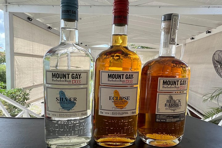 Expérience de dégustation de rhum Mount Gay à la Barbade, avec histoire du rhum, musée et dégustation, photo 21 | wizardtrip