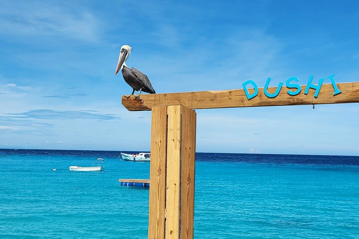 Sessão fotográfica em caiaque transparente em Curaçao com cocktails e filmagem com drone, foto 30 | wizardtrip