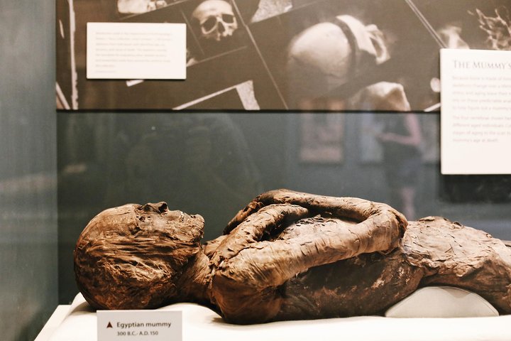 Smithsonian Museum of Natural History - Exclusive Guided Tour | wizardtrip