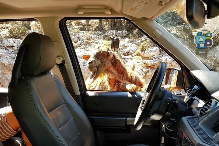 Utforsk Zeus-grotten, Lassithiplatået og tradisjonelle kretiske landsbyer på en Land Rover-tur fra Agios Nikolaos, foto 8 | wizardtrip