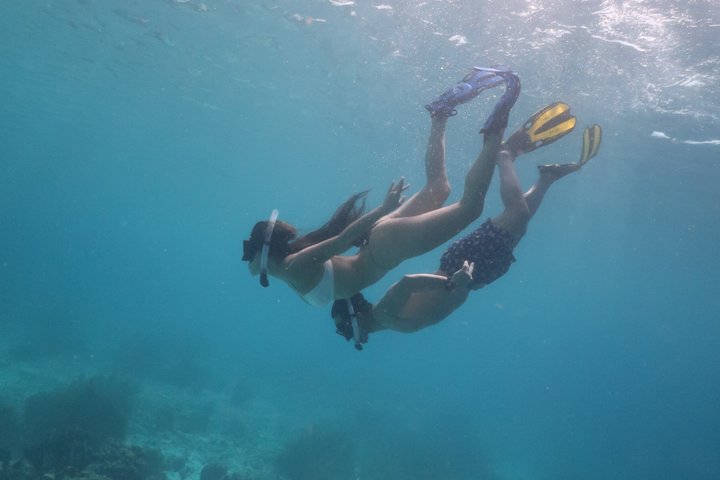 Schnorchel- und Sightseeing-Bootstour auf einem Holzschoner in Bonaire, Foto 3 | wizardtrip