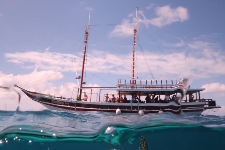 Schnorchel- und Sightseeing-Bootstour auf einem Holzschoner in Bonaire, Foto 15 | wizardtrip