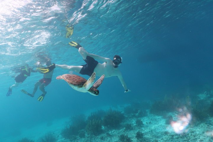 Schnorchel- und Sightseeing-Bootstour auf einem Holzschoner in Bonaire, Foto 16 | wizardtrip