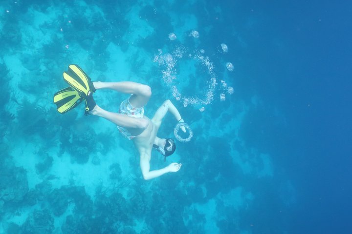 Schnorchel- und Sightseeing-Bootstour auf einem Holzschoner in Bonaire, Foto 22 | wizardtrip