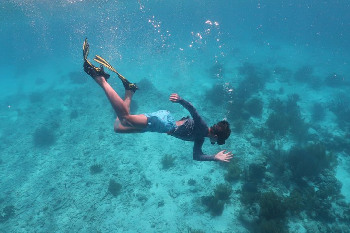 Schnorchel- und Sightseeing-Bootstour auf einem Holzschoner in Bonaire, Foto 24 | wizardtrip