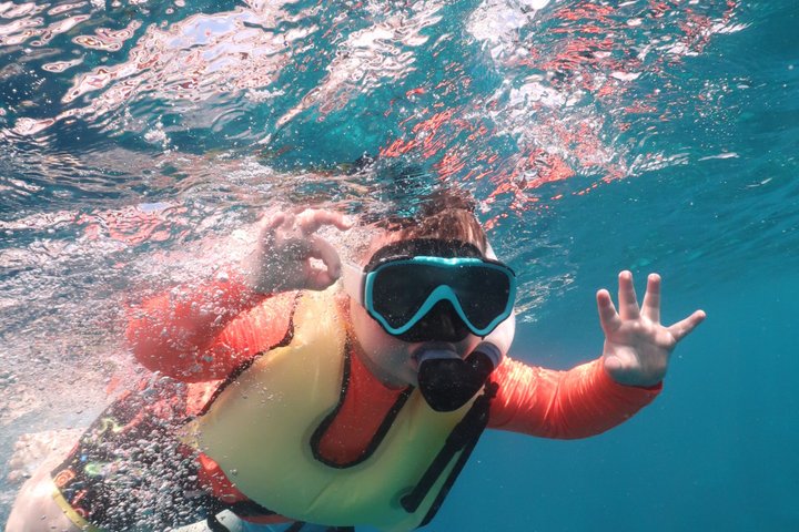 Schnorchel- und Sightseeing-Bootstour auf einem Holzschoner in Bonaire, Foto 25 | wizardtrip