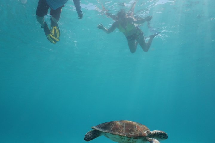 Schnorchel- und Sightseeing-Bootstour auf einem Holzschoner in Bonaire, Foto 27 | wizardtrip