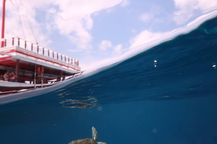 Schnorchel- und Sightseeing-Bootstour auf einem Holzschoner in Bonaire, Foto 32 | wizardtrip