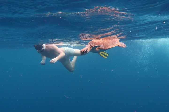 Schnorchel- und Sightseeing-Bootstour auf einem Holzschoner in Bonaire, Foto 33 | wizardtrip