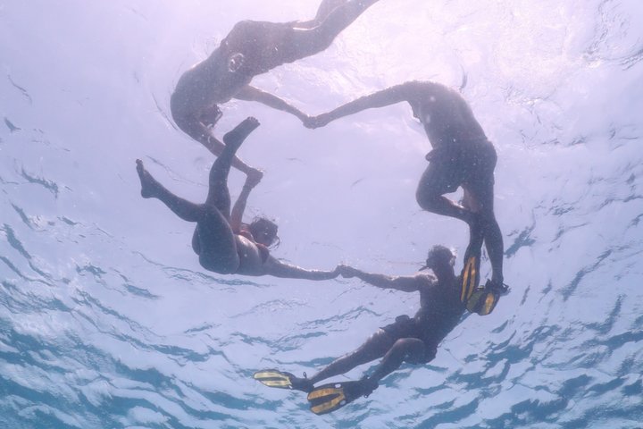 Schnorchel- und Sightseeing-Bootstour auf einem Holzschoner in Bonaire, Foto 47 | wizardtrip