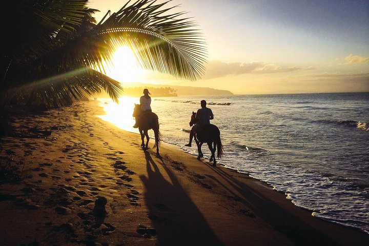 Balade à cheval privée au coucher du soleil sur la plage de Punta Cana | wizardtrip