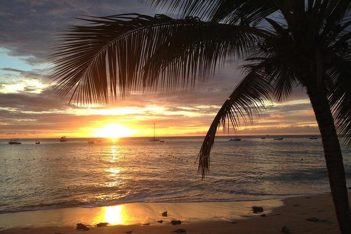 Privat solnedgangstur til hesteryggen på Macao Beach, Punta Cana, Den dominikanske republikk, foto 2 | wizardtrip