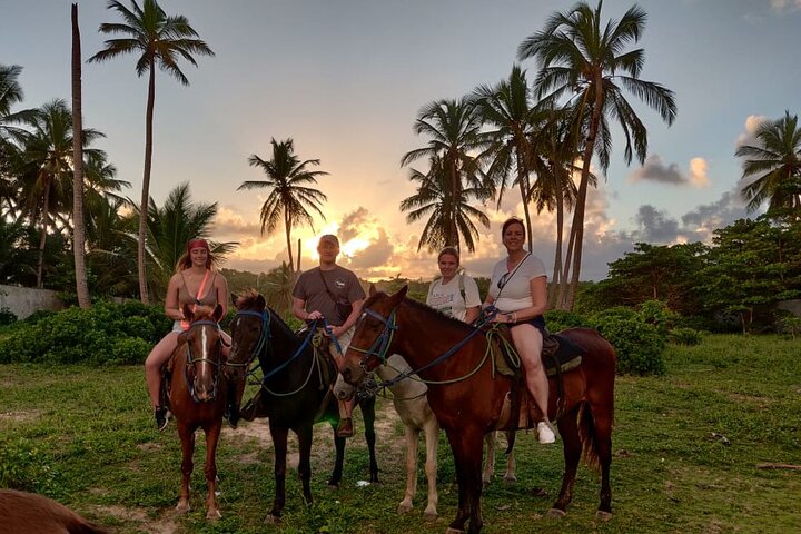 Privat solnedgangstur til hesteryggen på Macao Beach, Punta Cana, Den dominikanske republikk, foto 5 | wizardtrip