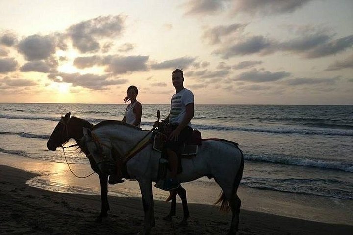 Privat solnedgangstur til hesteryggen på Macao Beach, Punta Cana, Den dominikanske republikk, foto 9 | wizardtrip