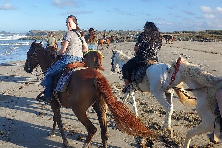 Privat solnedgangstur til hesteryggen på Macao Beach, Punta Cana, Den dominikanske republikk, foto 21 | wizardtrip