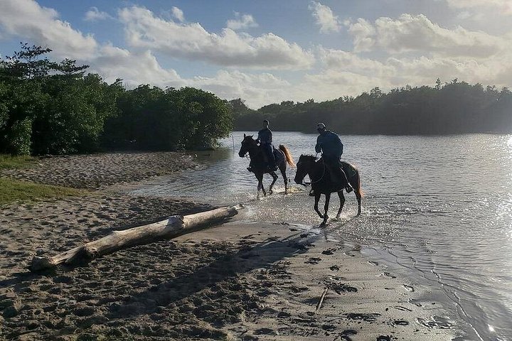Privat solnedgangstur til hesteryggen på Macao Beach, Punta Cana, Den dominikanske republikk, foto 23 | wizardtrip