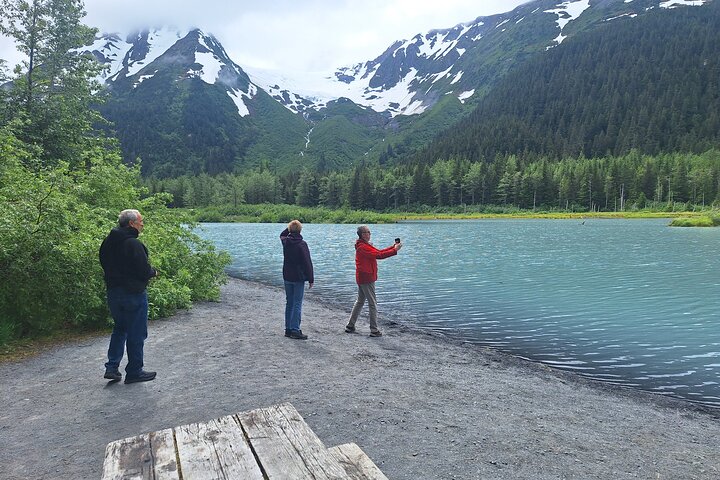 Turnagain Arm, Wildlife Center & Glaciers: Small-Group Tour | wizardtrip
