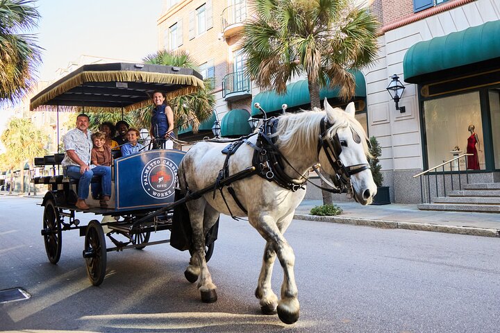Hestetrukket vognkørsel gennem de historiske gader i Charleston, South Carolina, foto 9 | wizardtrip