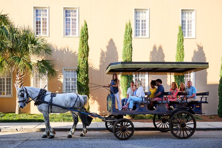 Hestetrukket vognkørsel gennem de historiske gader i Charleston, South Carolina, foto 10 | wizardtrip