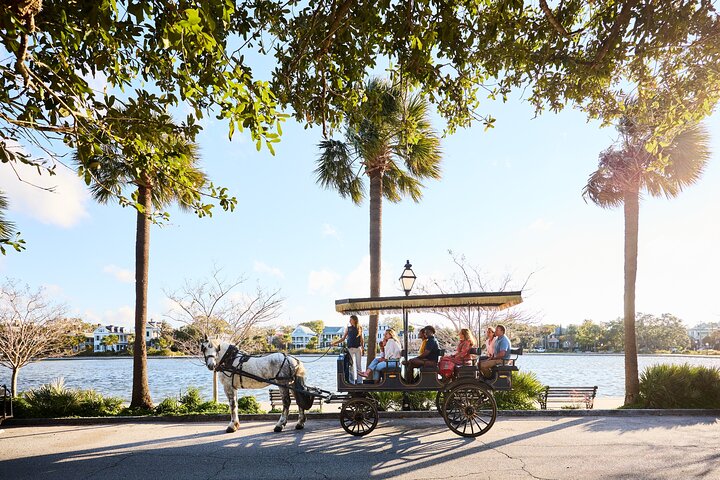 Hestetrukket vognkørsel gennem de historiske gader i Charleston, South Carolina, foto 11 | wizardtrip