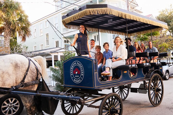 Hestetrukket vognkørsel gennem de historiske gader i Charleston, South Carolina, foto 12 | wizardtrip