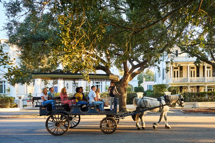 Hestetrukket vognkørsel gennem de historiske gader i Charleston, South Carolina, foto 15 | wizardtrip