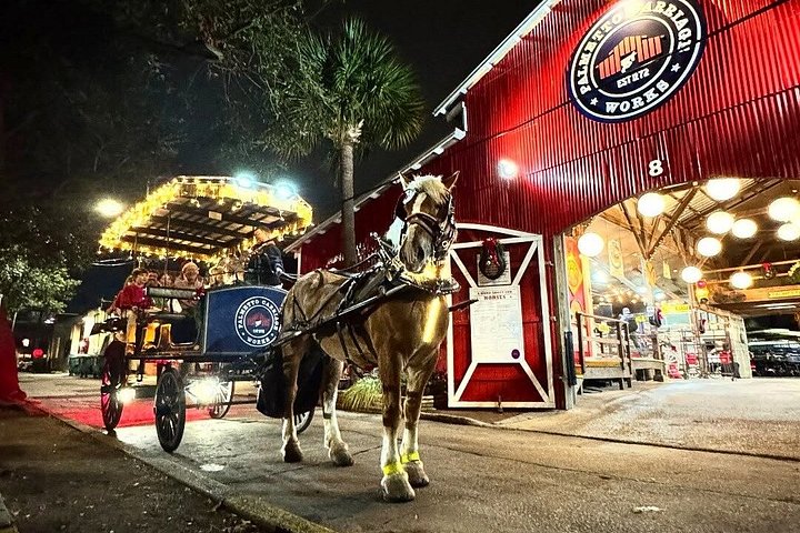 Hestetrukket vognkørsel gennem de historiske gader i Charleston, South Carolina, foto 20 | wizardtrip