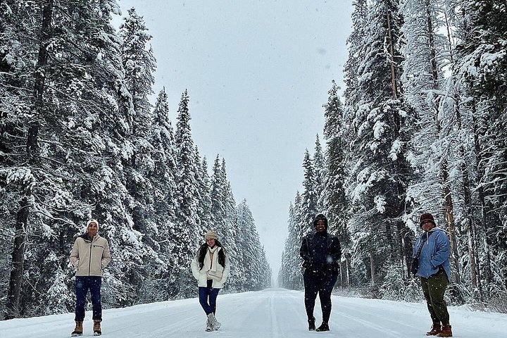 Dagtocht naar Banff National Park vanuit Calgary, met Lake Louise en Moraine Lake, foto 22 | wizardtrip