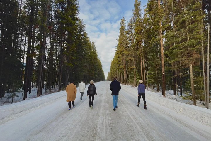 Dagtocht naar Banff National Park vanuit Calgary, met Lake Louise en Moraine Lake, foto 28 | wizardtrip