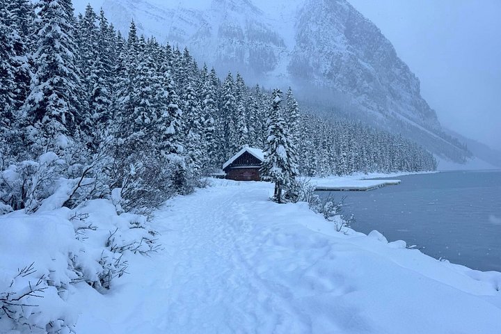 Dagtocht naar Banff National Park vanuit Calgary, met Lake Louise en Moraine Lake, foto 34 | wizardtrip