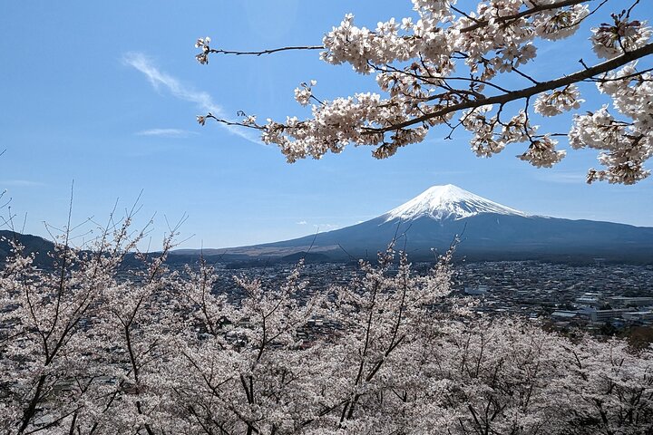 Tour privato in auto sul Monte Fuji, che mostra viste iconiche, laghi e siti culturali in Giappone, foto 15 | wizardtrip