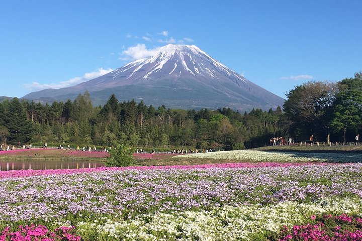 Tour privato in auto sul Monte Fuji, che mostra viste iconiche, laghi e siti culturali in Giappone, foto 18 | wizardtrip